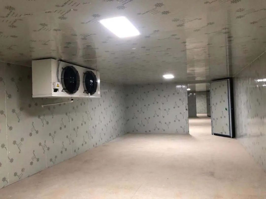 临县气调保鲜冷库造价